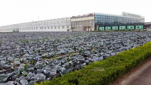 Cultivos intensivos de coles e invernaderos de investigación en Shandong.