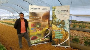 Nostoc Biotech en invernaderos de Huelva.