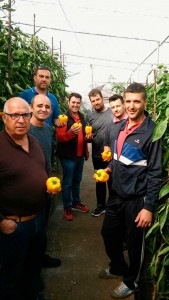 Agricultores de Adra en la jornada de Agrinature Indálica para conocer la nueva variedad de california amarillo, 'Cartero'.