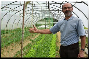 Agricultura ecológica en el País Vasco.