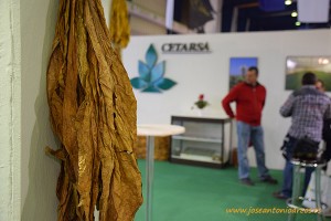 Productores extremeños de tabaco en la feria agrícola de Don Benito en el expositor de Cetarsa.