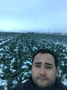 Nieve en la huerta de Murcia. enero 2017