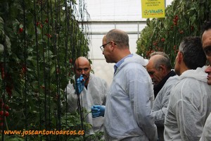 Rubén Martín explica a la directiva de Coprohníjar las líneas de mejora en tomate de Enza Zaden.