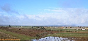 Recorriendo los campos de Extremadura, en Badajoz.