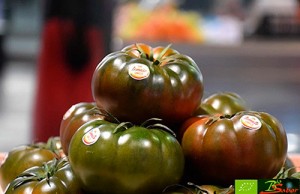 Tomate-Asurcado-Biosabor