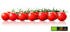 Tomate Cherry Piccolo
