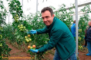 Andrés-Pérez-Técnico-Comercial-de-tomate