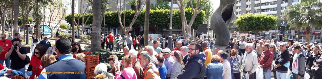 Reparto gratuito de hortalizas de Agricultura Viva en Acción en la ciudad de Almería.