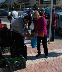 Reparto de hortalizas de Agricultura Viva en Acción en Roquetas de Mar (Almería).
