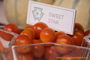 Cherry redondo Sweet Star