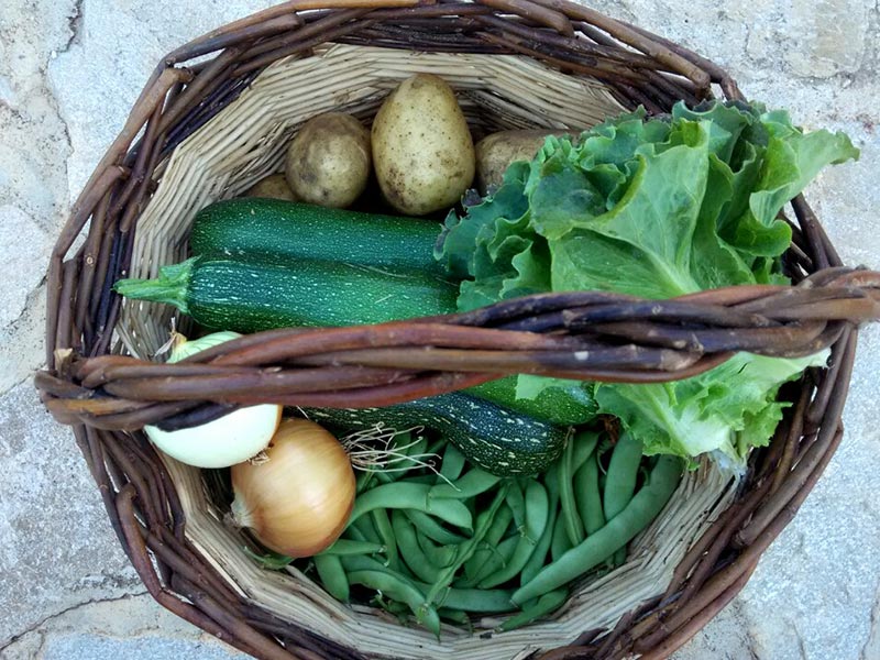 Cesta con verduras de temporada. Foto: Asociación 'La huerta del pueblo'