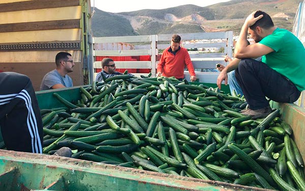 Agricultura Viva en Acción en la costa de Granada.