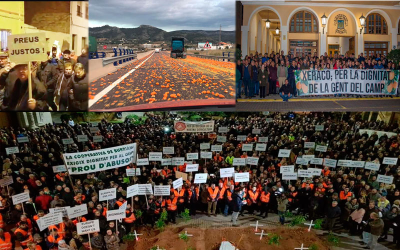 Citricultores de Valencia protestan por la importación de naranjas de Sudáfrica.