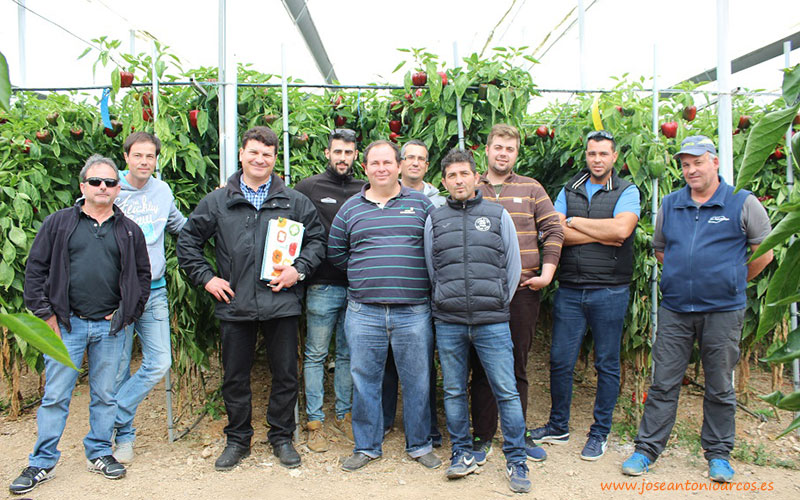 Agricultores de Eurosol con Jorge Viseras en el invernadero de Paco Maldonado.