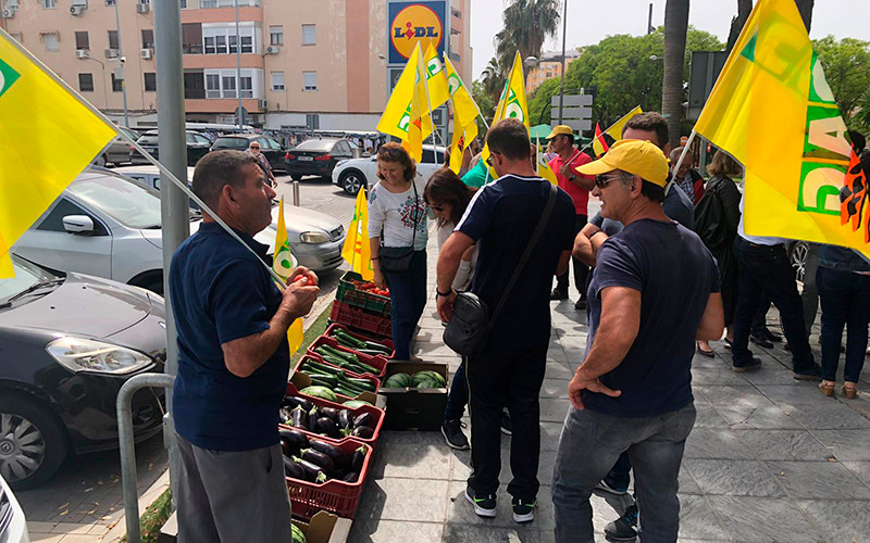 COAG Almería protesta ante el Lidl por los bajos precios hortofrutícolas.