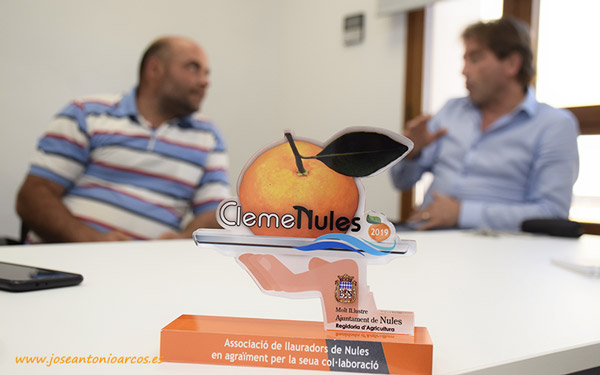 Crisis de precios de las mandarinas clemenules. /joseantonioarcos.es