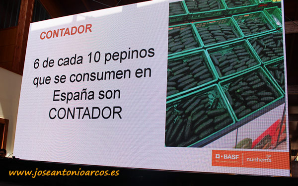 Pepino Contador. Nunhems. /joseantonioarcos.es