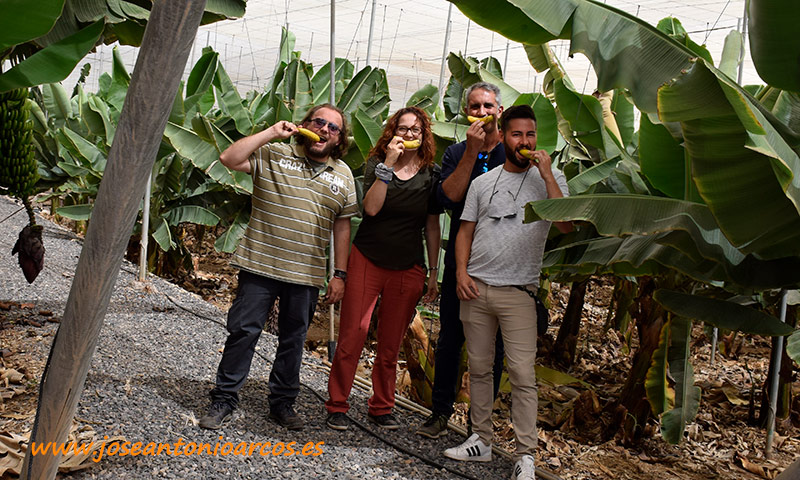 José Antonio Tavares, Efrén Díaz, Ana Rubio y José Antonio Arcos hincando el diente al plátano canario. /joseantonioarcos.es
