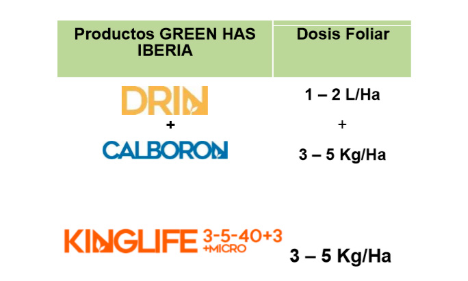 Luchando contra la ola de calor en los cultivos de frutales con Green Has Iberia - joseantonioarcos.es