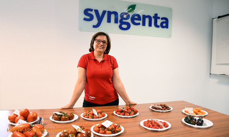 La nueva campaña “Un país de tomates” de Syngenta despliega un jugoso y rico catálogo de tomate - joseantonioarcos.es
