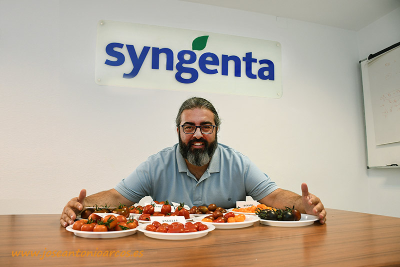 Sabor en todos los segmentos es otra demanda del mercado que atiende Syngenta en su obtención de nuevas variedades de tomate -joseantonioarcos.es