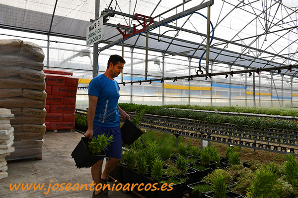 El Plantel Semilleros en El Ejido. /joseantonioarcos.es