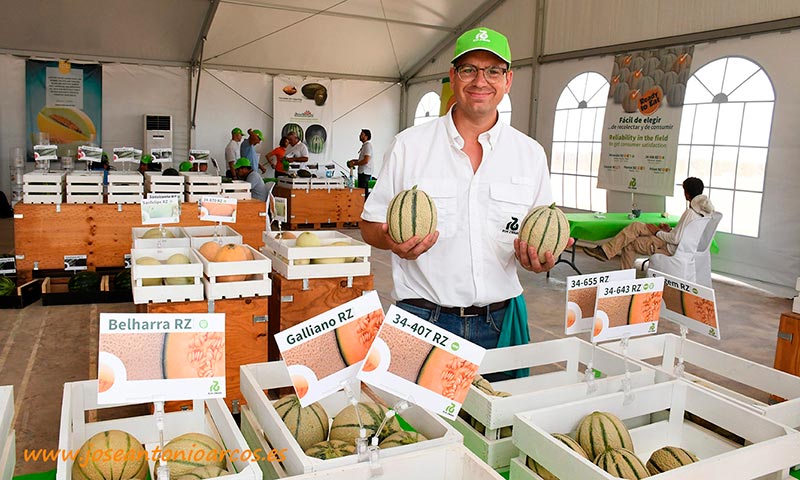 Diego Maestre, Crop Coordinator de melón de Rijk Zwaan. /joseantonioarcos.es