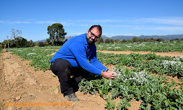 Verdcamp nos muestra la hortofruticultura de Tarragona-joseantonioarcos.es