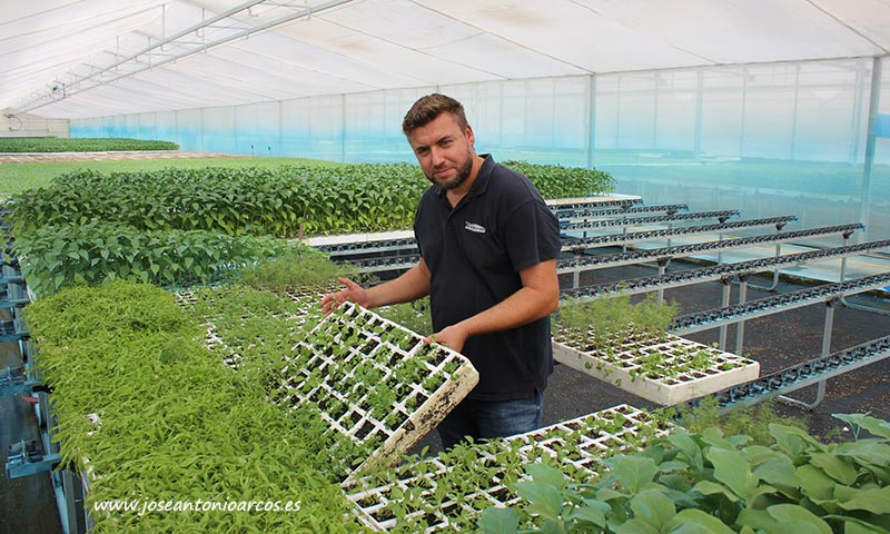 Javier Castillo con una de las bandejas del kit de plantas reservorio del semillero Cristalplant. /joseantonioarcos.es