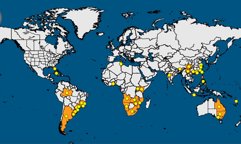Nuevo mapa actualizado, con los países donde está declarado presente el CBS. /joseantonioarcos.es