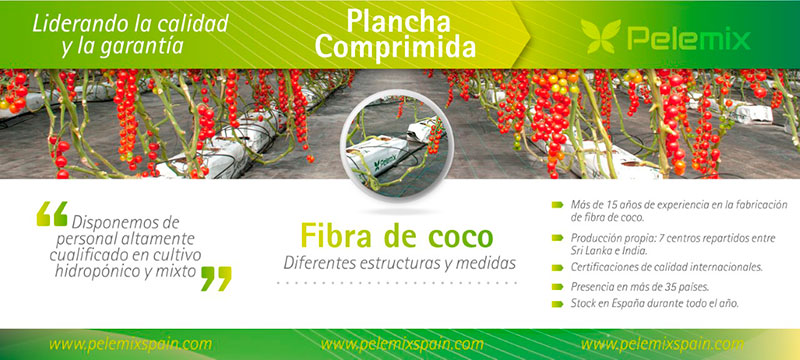 Plancha comprimida de fibra de coco-joseantonioarcos.es