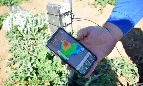 Implementación de sondas de medición e incluso imágenes vía satélite en Verdcamp Fruits-joseantonioarcos.es