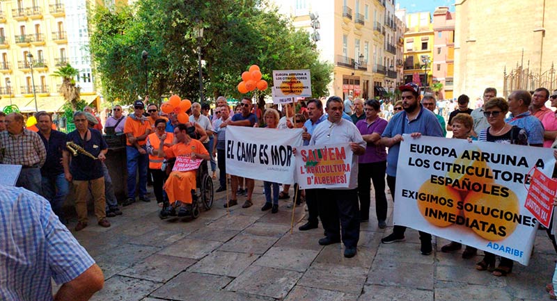Citricultores valencianos protestan por la muerte de la citricultura en España. /joseantonioarcos.es