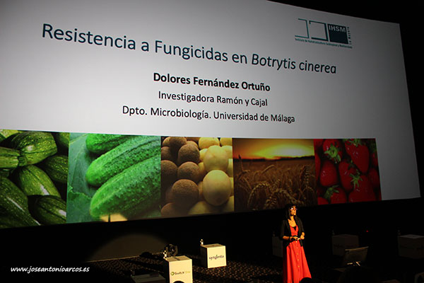 Dolores Fernández Ortuño, investigadora de la Universidad de Málaga. /joseantonioarcos.es