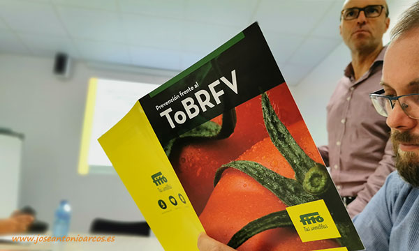 El Tomato Brown Rugose Fruit Virus (ToBRFV). /joseantonioarcos.es