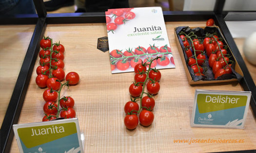 Cherry Juanita y Delisher de Seminis en Fruit Attraction 2019. /joseantonioarcos.es