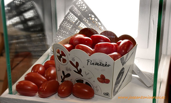 Flamenko nueva variedad de tomate cherry pera que se diferencia por su sabor y textura cremosa, CASI-joseantonioarcos.es
