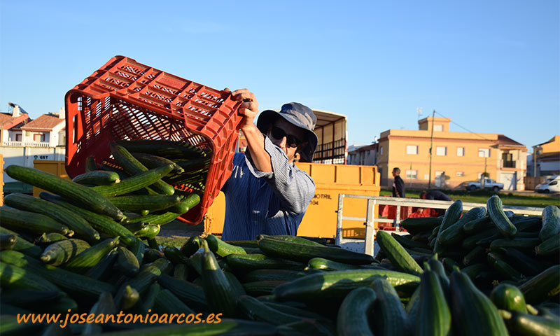 Granada y Almería unirán a su potente sector hortofrutícola en una reivindicación histórica-joseantonioarcos.es