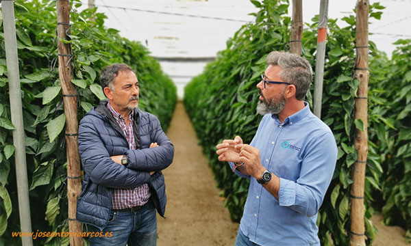 Juan Sánchez de Nostoc Biotech con el agricultor Paco Jiménez Cara. /joseantonioarcos.es