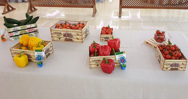Nuevas variedades de pimiento, pepino y tomate cherry de Hazera-joseantonioarcos.es