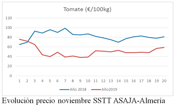 Evolución del precio del tomate en Almería durante el mes de noviembre. /joseantonioarcos.es