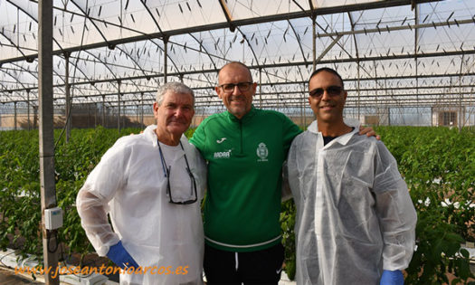 Donato García, de AADAA, con agrónomos de Israel en un invernadero de tomate de Agroliner en Almería. /joseantonioarcos.es