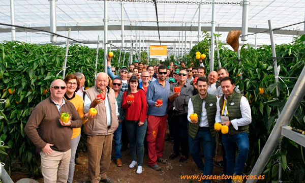 Productores de pimiento en Berja con casa de semillas de HM Clause-joseantonioarcos.es