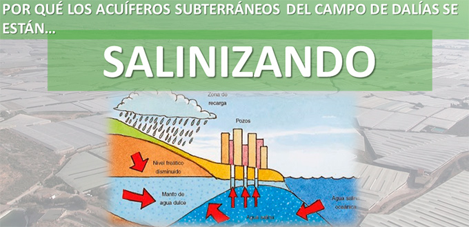 Salinización de los acuíferos del Poniente almeriense. /joseantonioarcos.es