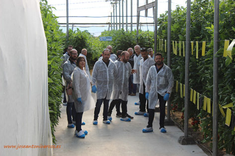 Agricultores almerienses en la jornada de tomate Sotomayor de Hazera. /joseantonioarcos.es