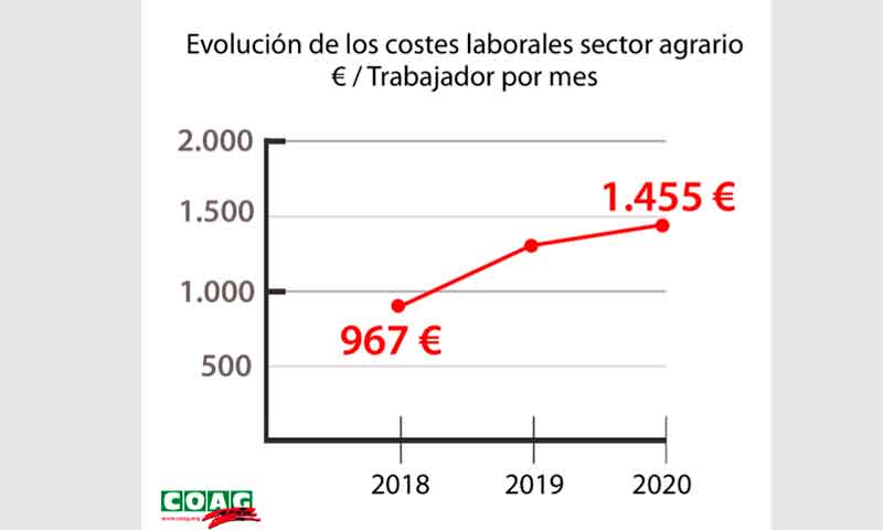Efectos de la subida del Salario Mínimo Interprofesional (SMI) en la agricultura. /joseantonioarcos.es