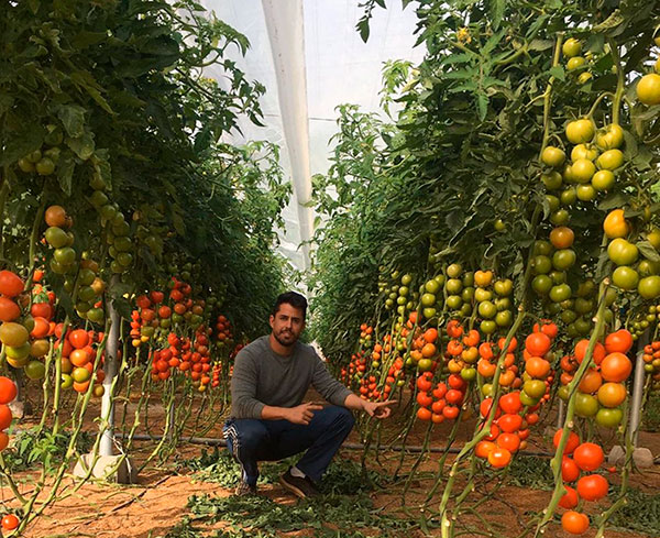 Juan Antonio Rodríguez con tomate Sotomayor. /joseantonioarcos.es