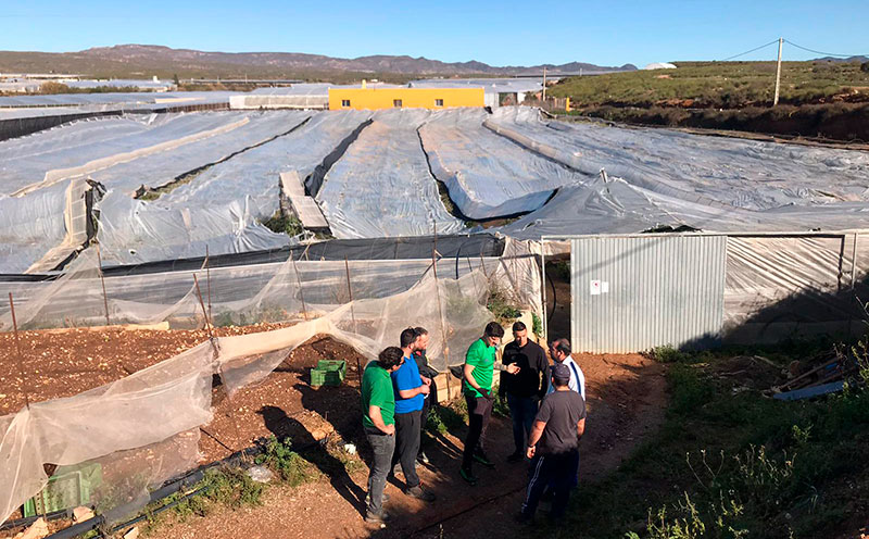 La Unión de Agricultores Independientes ayuda a levantar en Campohermoso los invernaderos caídos tras el paso de la tormenta Gloria. /joseantonioarcos.es