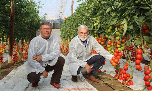 Los hermanos Emilio y José Marín en las jornadas de tomate de Ramiro Arnedo. /joseantonioarcos.es