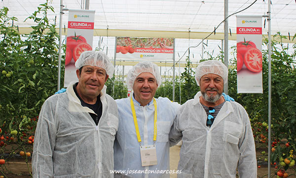 Andrés Pérez, técnico de Clause, en las jornadas de tomate en El Alquián. /joseantonioarcos.es